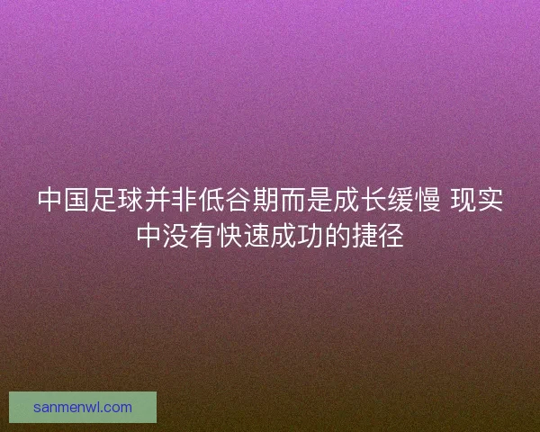 中国足球并非低谷期而是成长缓慢 现实中没有快速成功的捷径