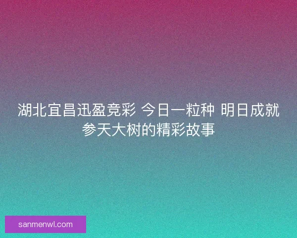 湖北宜昌迅盈竞彩 今日一粒种 明日成就参天大树的精彩故事